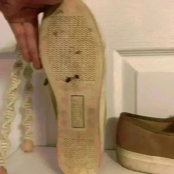 Tan and Brown Sperry Slip-On Shoes - Picture 9 of 13